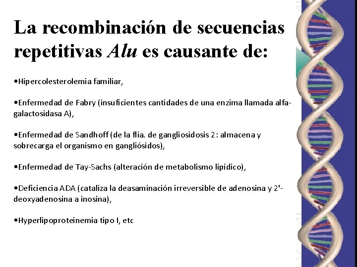 La recombinación de secuencias repetitivas Alu es causante de: • Hipercolesterolemia familiar, • Enfermedad La recombinación de secuencias repetitivas Alu es causante de: • Hipercolesterolemia familiar, • Enfermedad