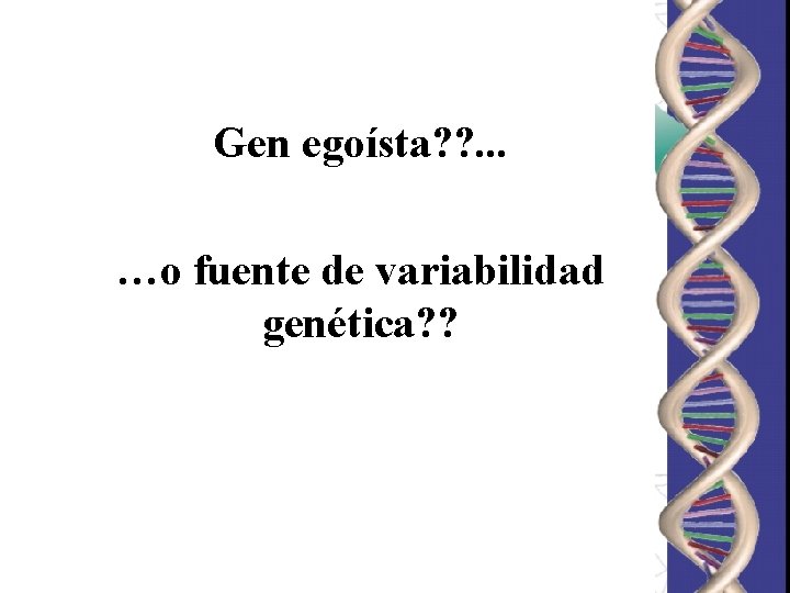 Gen egoísta? ? . . . …o fuente de variabilidad genética? ? Gen egoísta? ? . . . …o fuente de variabilidad genética? ?