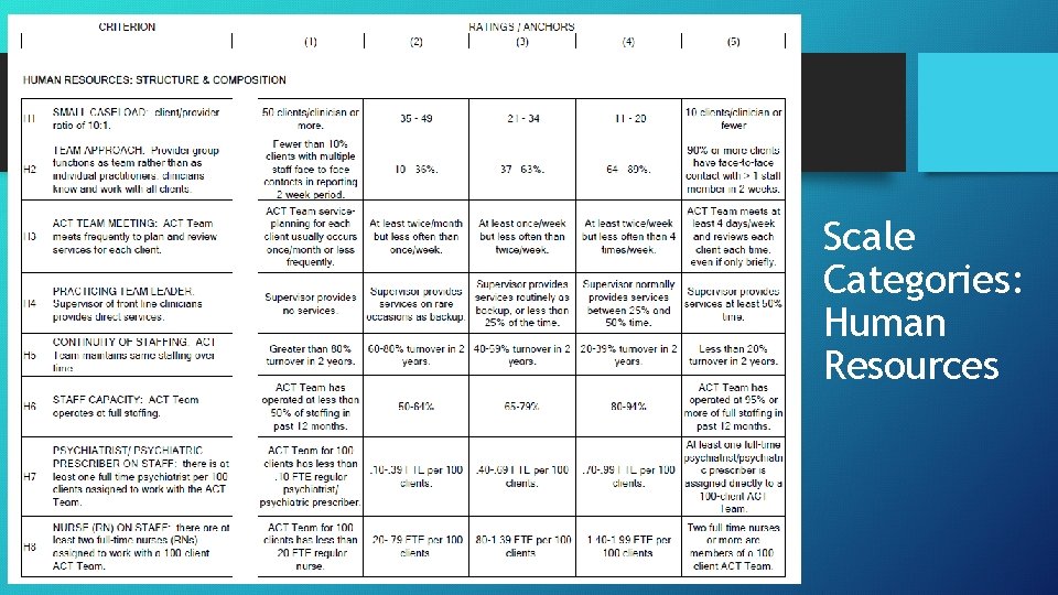 Scale Categories: Human Resources 