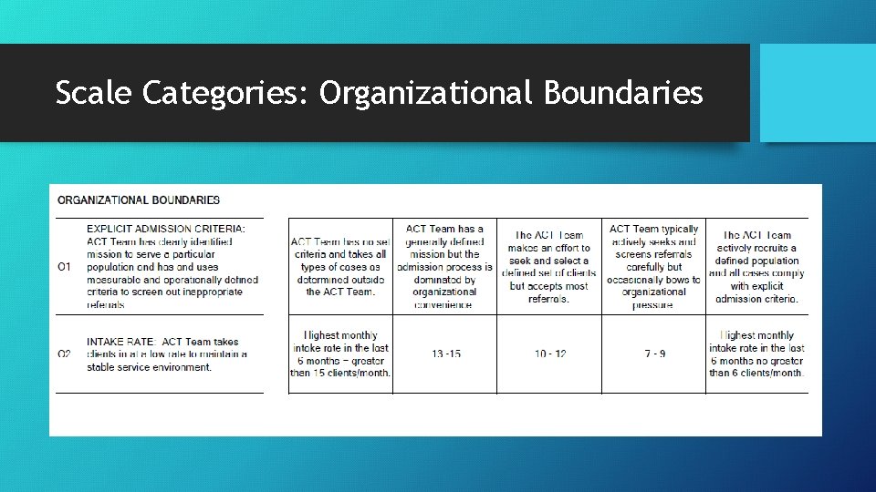 Scale Categories: Organizational Boundaries 