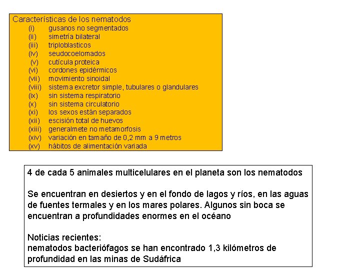 Características de los nematodos (i) (iii) (iv) (v) (vii) (viii) (ix) (xi) (xiii) (xiv) Características de los nematodos (i) (iii) (iv) (v) (vii) (viii) (ix) (xi) (xiii) (xiv)