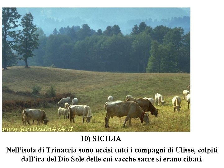 10) SICILIA Nell’isola di Trinacria sono uccisi tutti i compagni di Ulisse, colpiti dall’ira