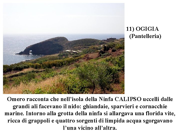 11) OGIGIA (Pantelleria) Omero racconta che nell’isola della Ninfa CALIPSO uccelli dalle grandi ali