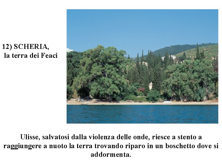 12) SCHERIA, la terra dei Feaci Ulisse, salvatosi dalla violenza delle onde, riesce a