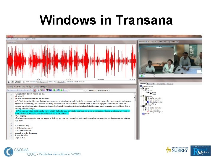 Windows in Transana 