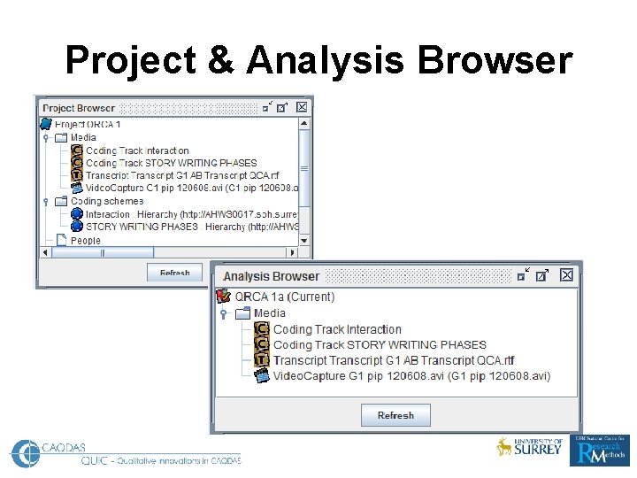 Project & Analysis Browser 