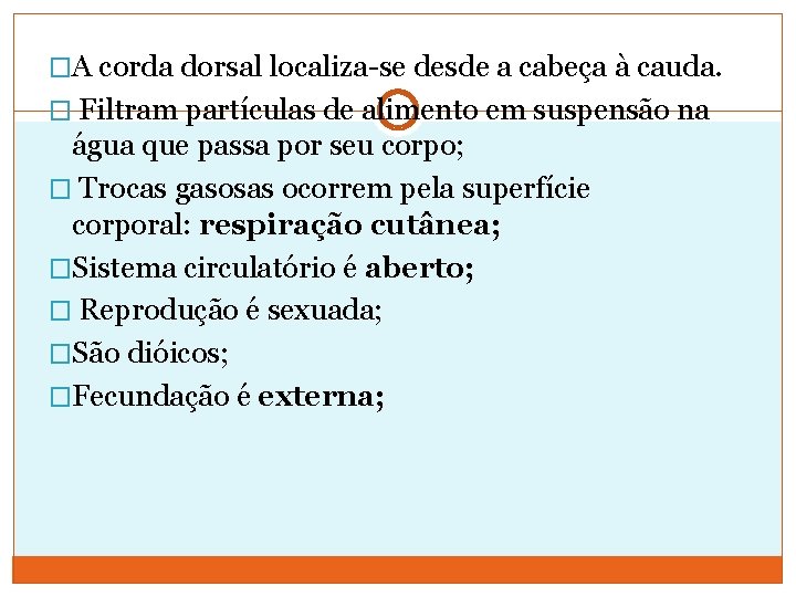 �A corda dorsal localiza-se desde a cabeça à cauda. � Filtram partículas de alimento