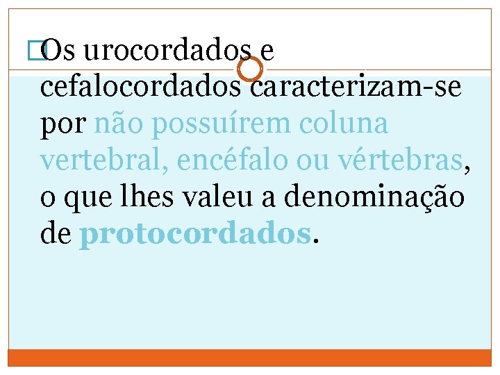 �Os urocordados e cefalocordados caracterizam-se por não possuírem coluna vertebral, encéfalo ou vértebras, o