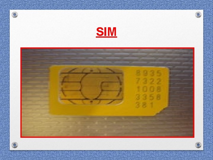 SIM SIM