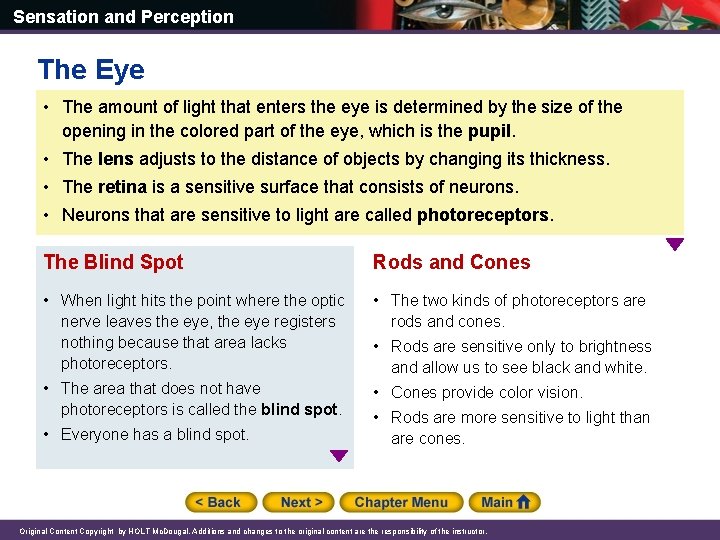 Sensation and Perception The Eye • The amount of light that enters the eye