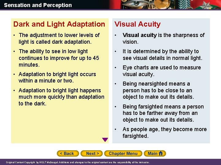 Sensation and Perception Dark and Light Adaptation Visual Acuity • The adjustment to lower