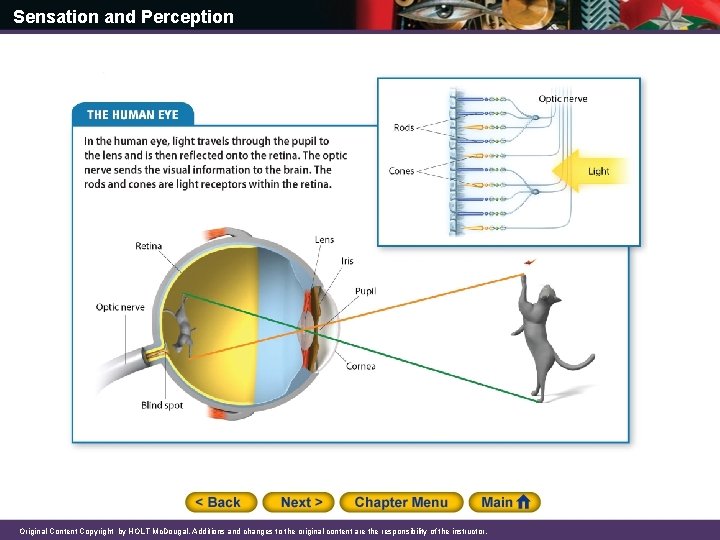 Sensation and Perception Original Content Copyright by HOLT Mc. Dougal. Additions and changes to