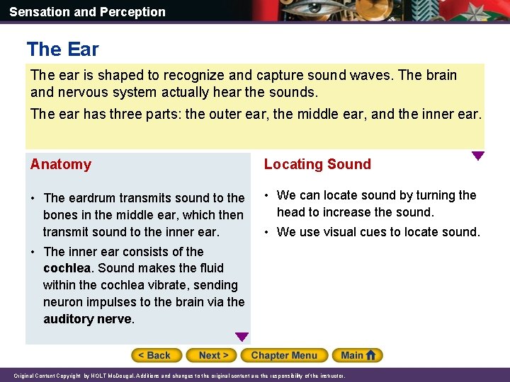 Sensation and Perception The Ear The ear is shaped to recognize and capture sound