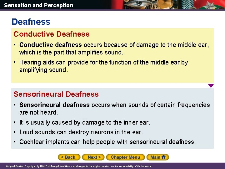 Sensation and Perception Deafness Conductive Deafness • Conductive deafness occurs because of damage to