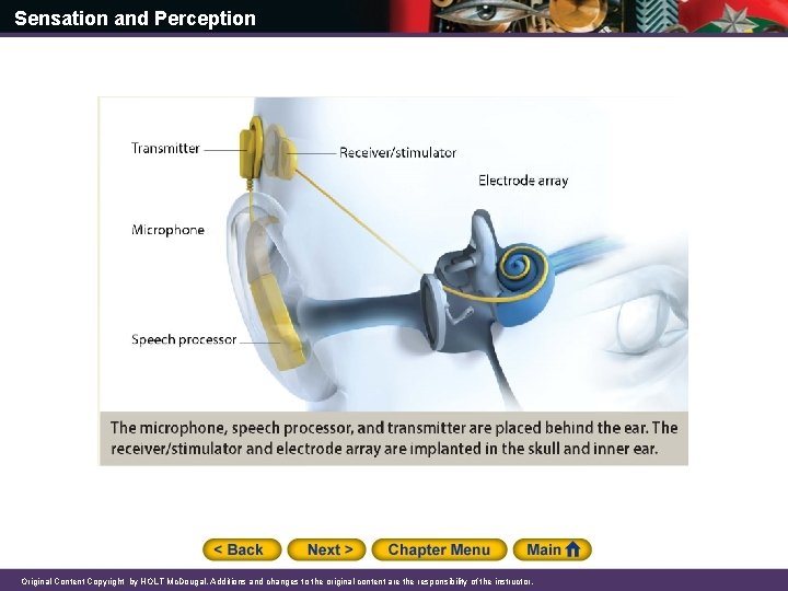 Sensation and Perception Original Content Copyright by HOLT Mc. Dougal. Additions and changes to