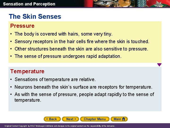 Sensation and Perception The Skin Senses Pressure • The body is covered with hairs,