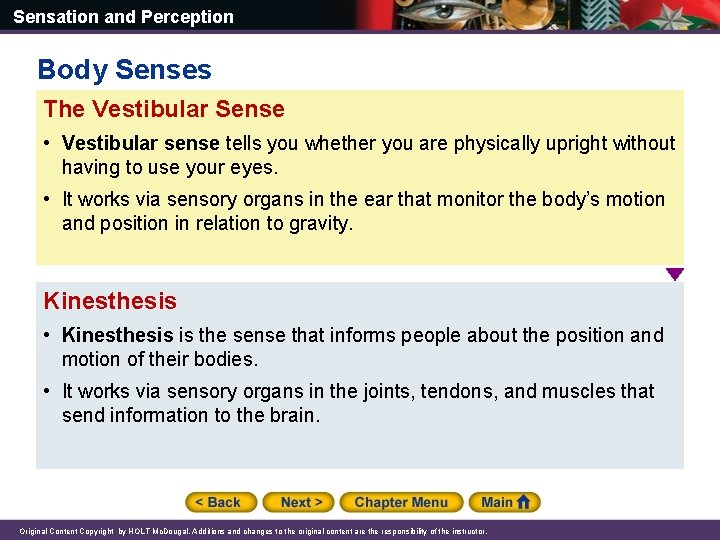 Sensation and Perception Body Senses The Vestibular Sense • Vestibular sense tells you whether