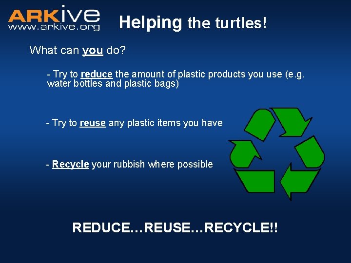 Helping the turtles! What can you do? - Try to reduce the amount of