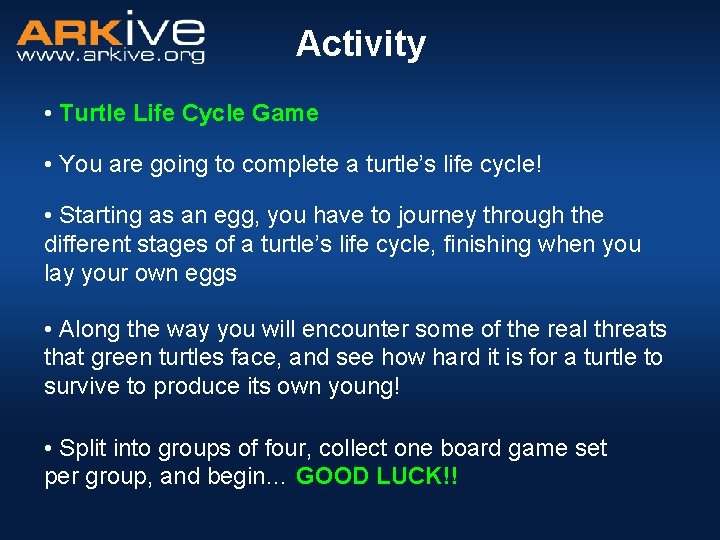 Activity • Turtle Life Cycle Game • You are going to complete a turtle’s