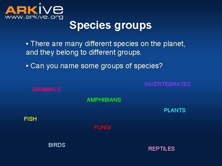 Species groups • There are many different species on the planet, and they belong