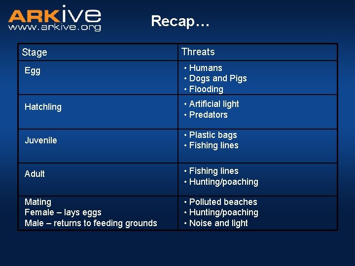 Recap… Stage Threats Egg • Humans • Dogs and Pigs • Flooding Hatchling •