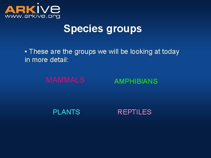 Species groups • These are the groups we will be looking at today in