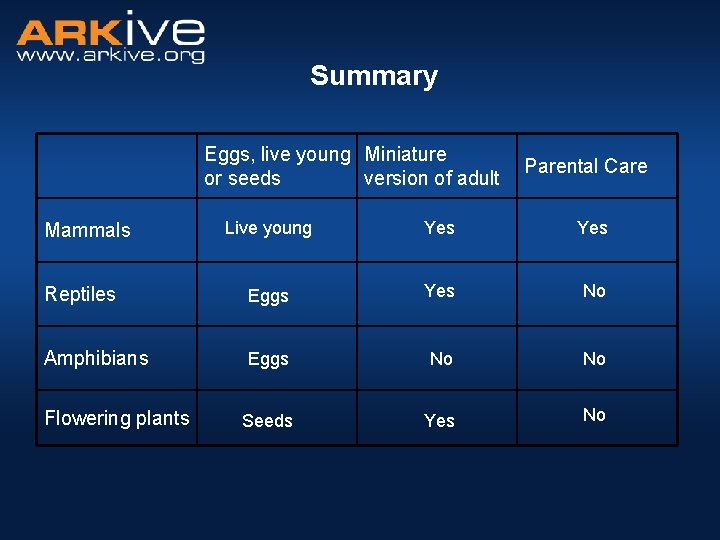 Summary Eggs, live young Miniature or seeds version of adult Parental Care Live young