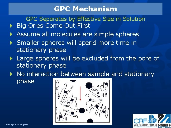 GPC Mechanism GPC Separates by Effective Size in Solution Big Ones Come Out First