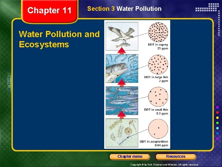 Chapter 11 Section 3 Water Pollution and Ecosystems Chapter menu Resources Copyright © by Chapter 11 Section 3 Water Pollution and Ecosystems Chapter menu Resources Copyright © by
