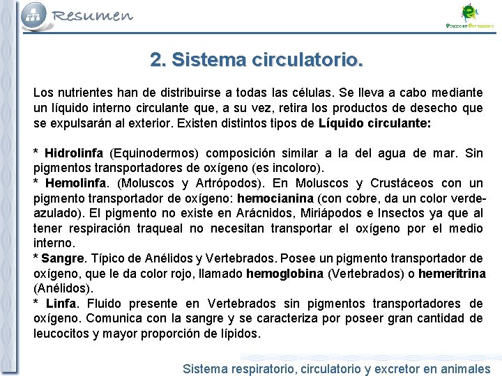 2. Sistema circulatorio. Los nutrientes han de distribuirse a todas las células. Se lleva