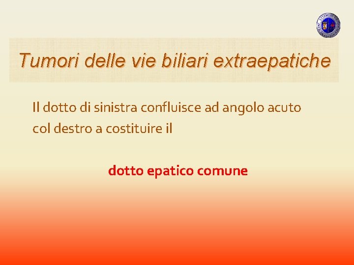 Tumori delle vie biliari extraepatiche Il dotto di sinistra confluisce ad angolo acuto col Tumori delle vie biliari extraepatiche Il dotto di sinistra confluisce ad angolo acuto col