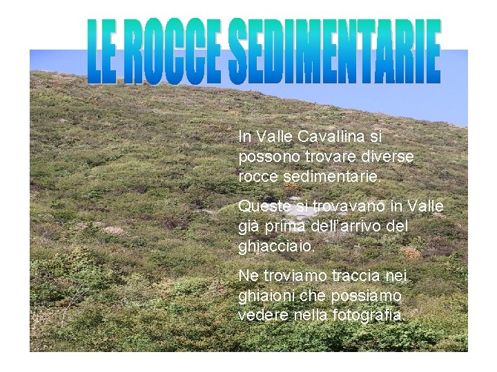 In Valle Cavallina si possono trovare diverse rocce sedimentarie. Queste si trovavano in Valle
