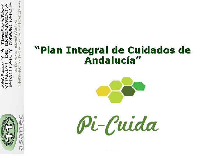“Plan Integral de Cuidados de Andalucía” 
