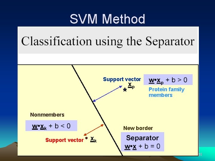 SVM Method Support vector Protein family members Nonmembers New border Support vector 10 