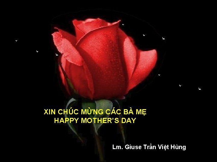 XIN CHÚC MỪNG CÁC BÀ MẸ HAPPY MOTHER’S DAY Lm. Giuse Trần Việt Hùng