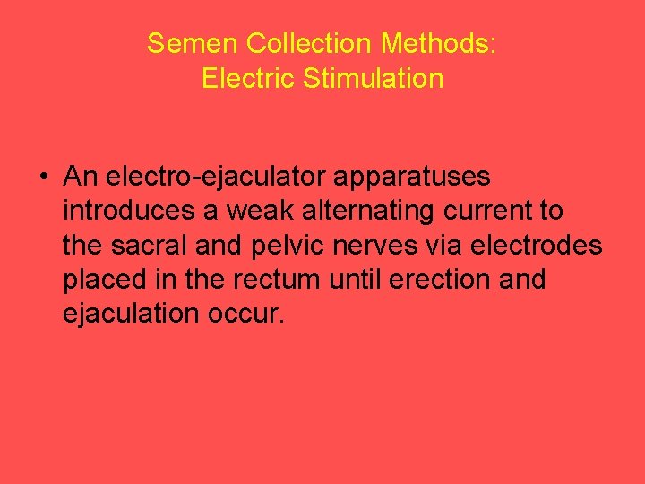 Semen Collection Methods: Electric Stimulation • An electro-ejaculator apparatuses introduces a weak alternating current