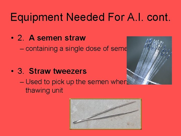 Equipment Needed For A. I. cont. • 2. A semen straw – containing a