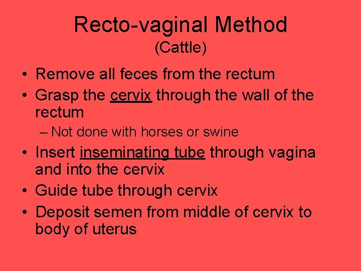 Recto-vaginal Method (Cattle) • Remove all feces from the rectum • Grasp the cervix