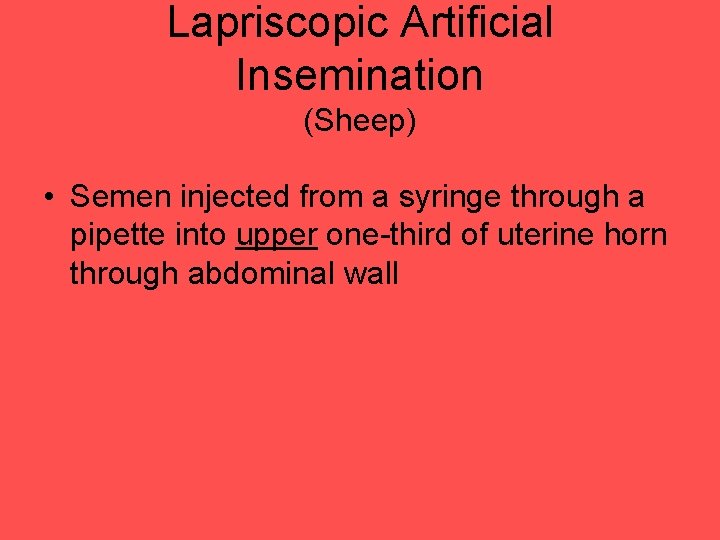 Lapriscopic Artificial Insemination (Sheep) • Semen injected from a syringe through a pipette into