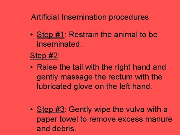 Artificial Insemination procedures • Step #1: Restrain the animal to be inseminated. Step #2: