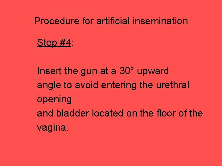 Procedure for artificial insemination Step #4: Insert the gun at a 30° upward angle