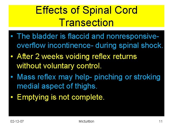 Effects of Spinal Cord Transection • The bladder is flaccid and nonresponsiveoverflow incontinence- during Effects of Spinal Cord Transection • The bladder is flaccid and nonresponsiveoverflow incontinence- during