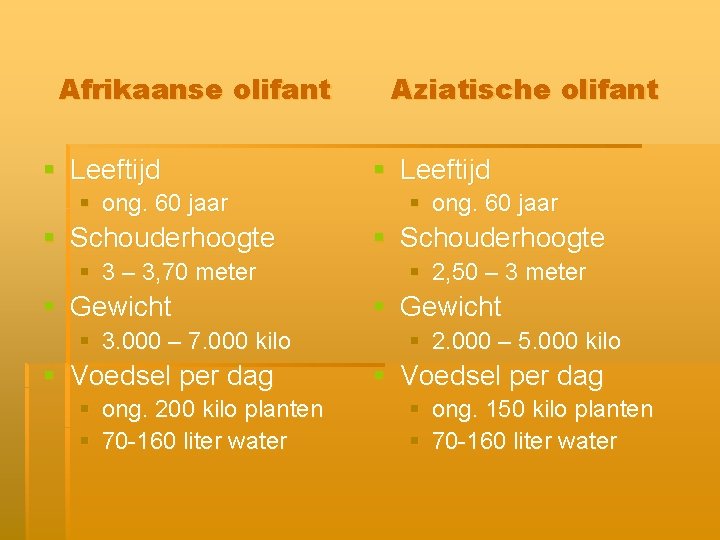 Afrikaanse olifant § Leeftijd Aziatische olifant § Leeftijd § ong. 60 jaar § Schouderhoogte