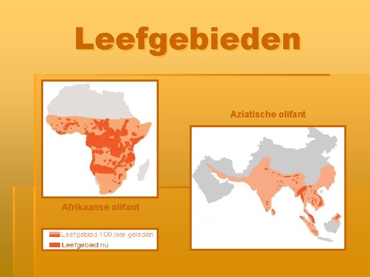 Leefgebieden Aziatische olifant Afrikaanse olifant 