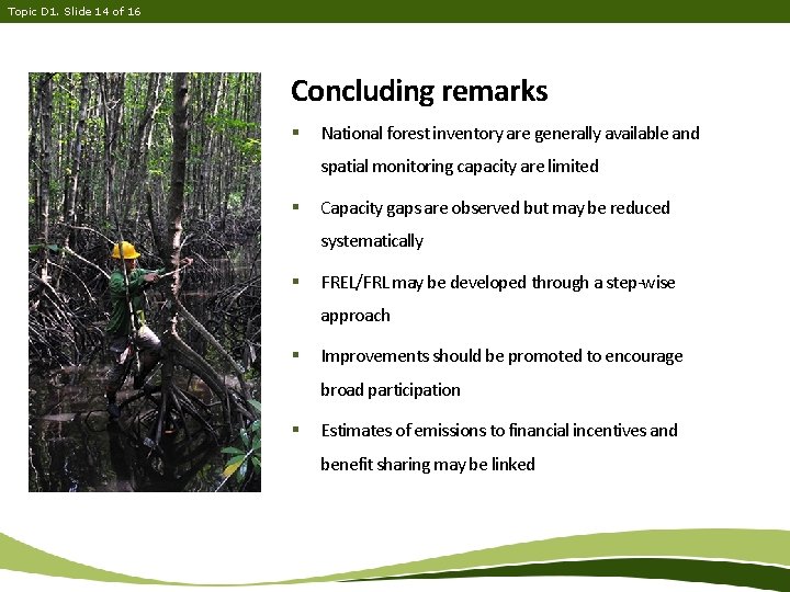 Topic D 1. Slide 14 of 16 Concluding remarks § National forest inventory are