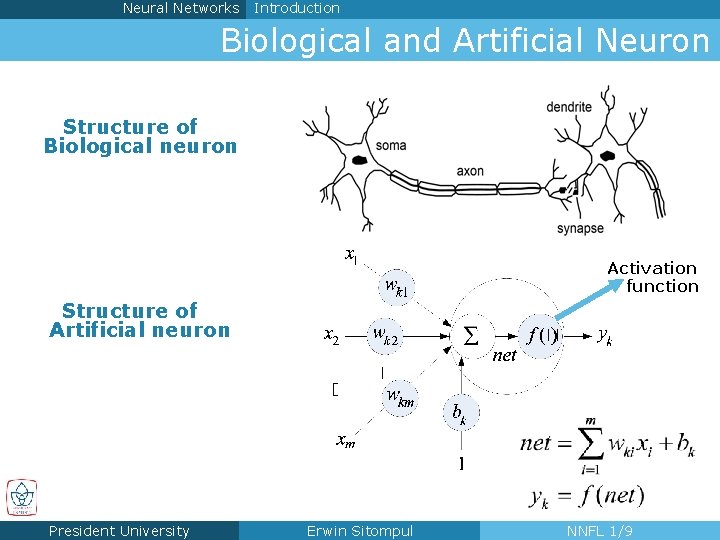 Neural Networks Introduction Biological and Artificial Neuron Structure of Biological neuron Activation function Structure