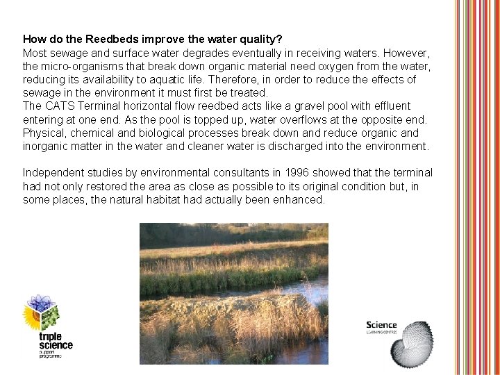 How do the Reedbeds improve the water quality? Most sewage and surface water degrades