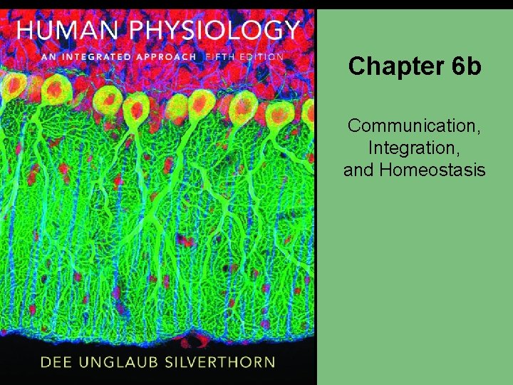 Chapter 6 b Communication, Integration, and Homeostasis 