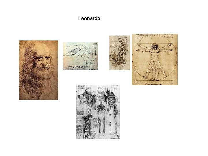 Leonardo 