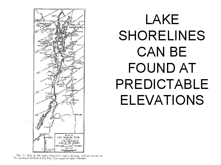 LAKE SHORELINES CAN BE FOUND AT PREDICTABLE ELEVATIONS 